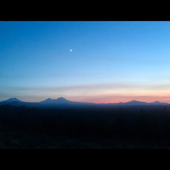 Meet your Posher, Tanya - Picture 1 of 1